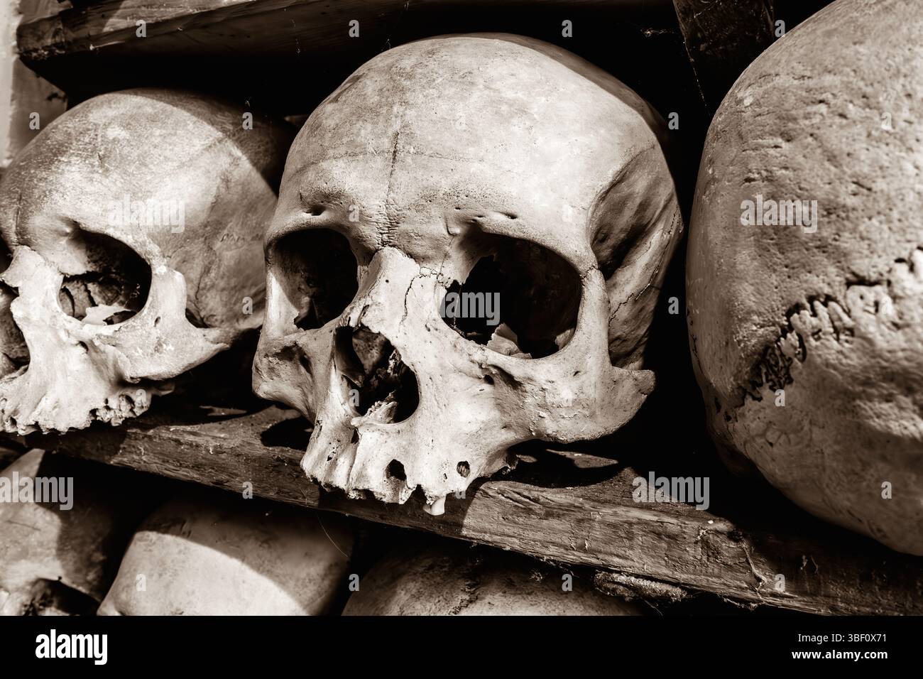 Menschliche Schädel wurden in der Krypta in der St. Leonard's Church in Hythe, Kent, Großbritannien, in einem warmen Sepia-Ton ausgestellt Stockfoto