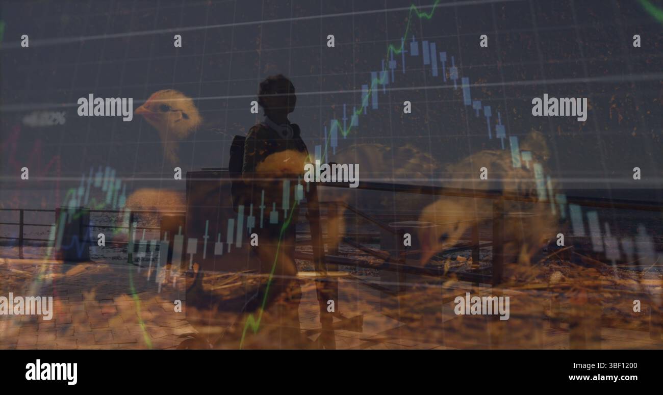 Bild von Datenverarbeitung und afroamerikanerin über Huhn Stockfoto