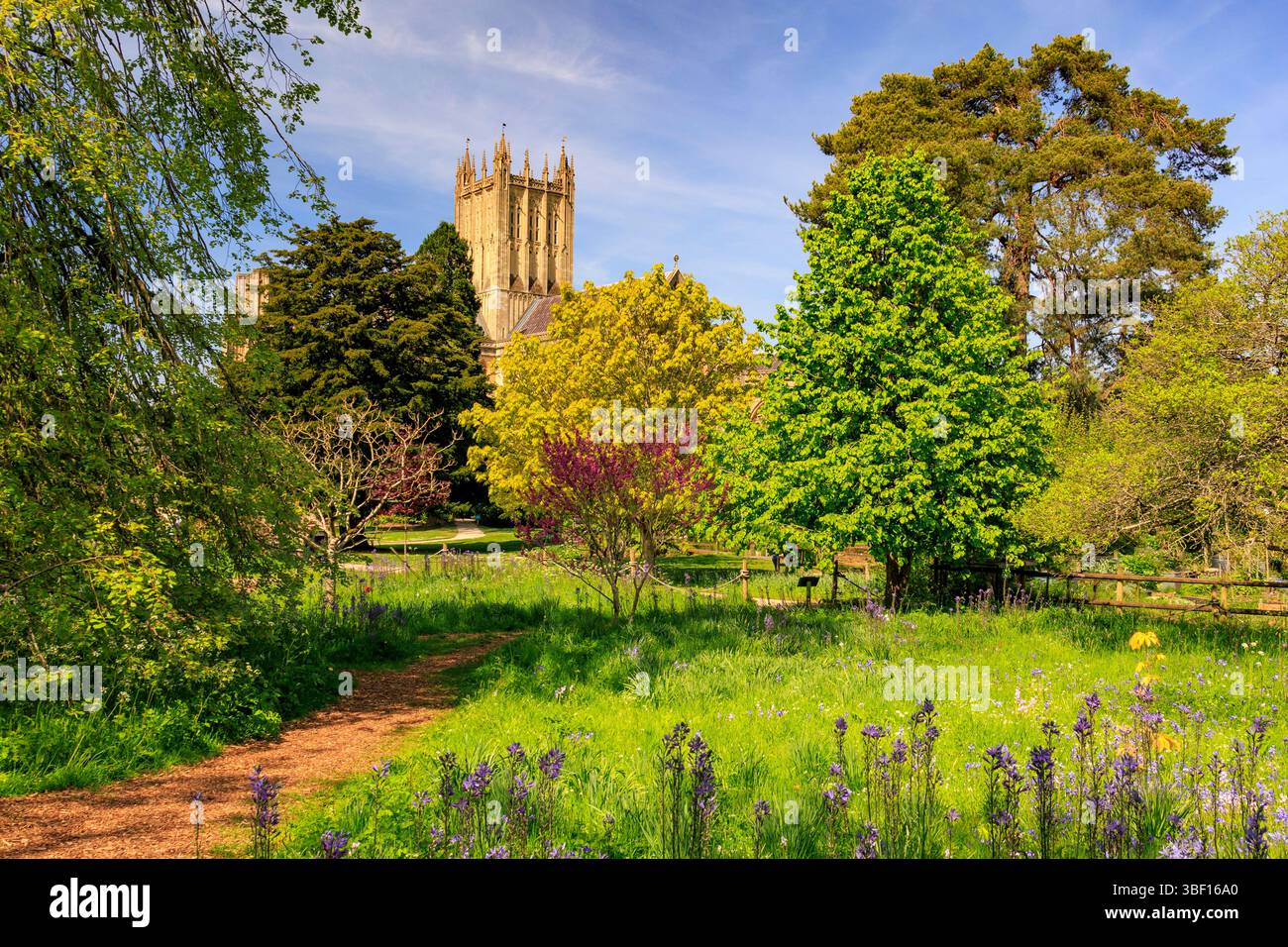 Die historische Kathedrale von Wells und die farbenfrohe Frühlingsblüte aus dem Bishop's Palace Garden, Wells, Somerset, England, Großbritannien Stockfoto