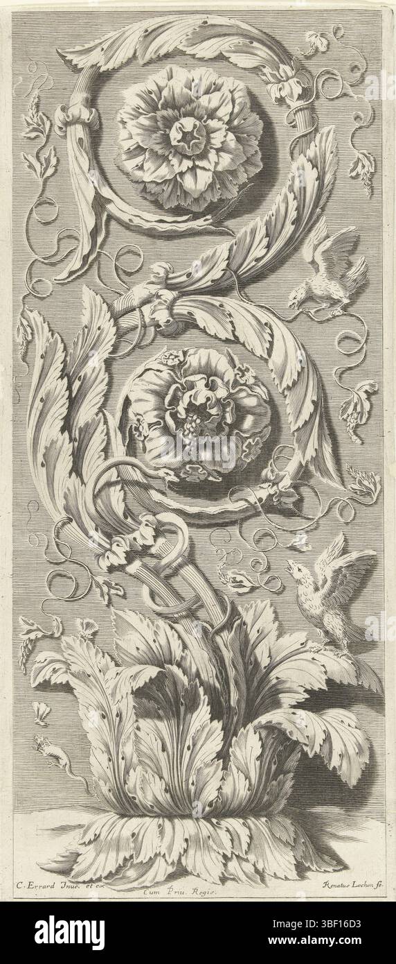 Ludwig XIV. (König von Frankreich), Paris, Errard, Karl II., Frankreich, Lochon, René, Diurs Ornements, vertikaler Zweiblattrang, der Rang stammt von einem Blattkranz am unteren Rand, mit einem Vogel. Ab Serie von 7 Blatt, Druck, Verzierungen, Drucke, Höhe 380 mm, Breite 168 mm, 1636 - 1675, Druckerei, 1651 - 1651, drittes Viertel 17. Jahrhundert, Papier, Gravur, Gravur (Druckverfahren), Arbeitskonzept, 1607 - 25.05.1689, nach Design, Publikation (Veranstaltung), Publikation, Verlag, Französisch, 05.09.1638, 01.09.1715, Anbieter von Privilegien Stockfoto