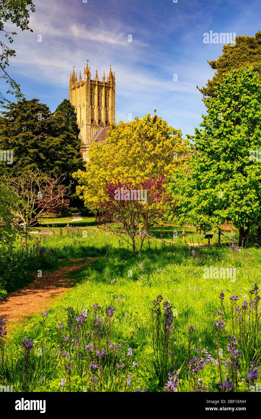 Die historische Kathedrale von Wells und die farbenfrohe Frühlingsblüte aus dem Bishop's Palace Garden, Wells, Somerset, England, Großbritannien Stockfoto