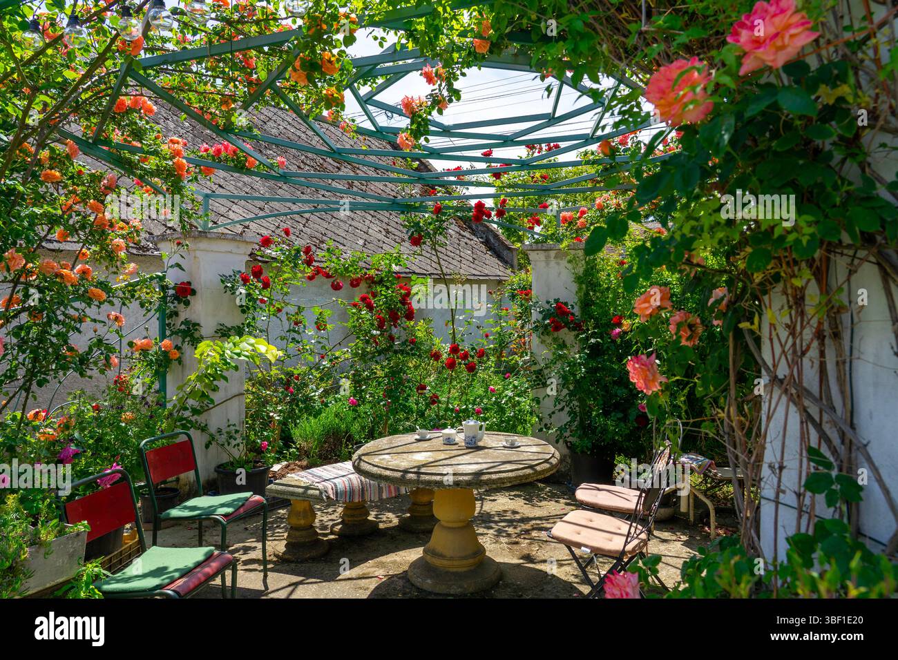 Ein ruhiges Bild eines charmanten Gartens mit einem Tisch für Tee inmitten blühender Rosen und Grün, der Ruhe und Freizeit weckt. Stockfoto