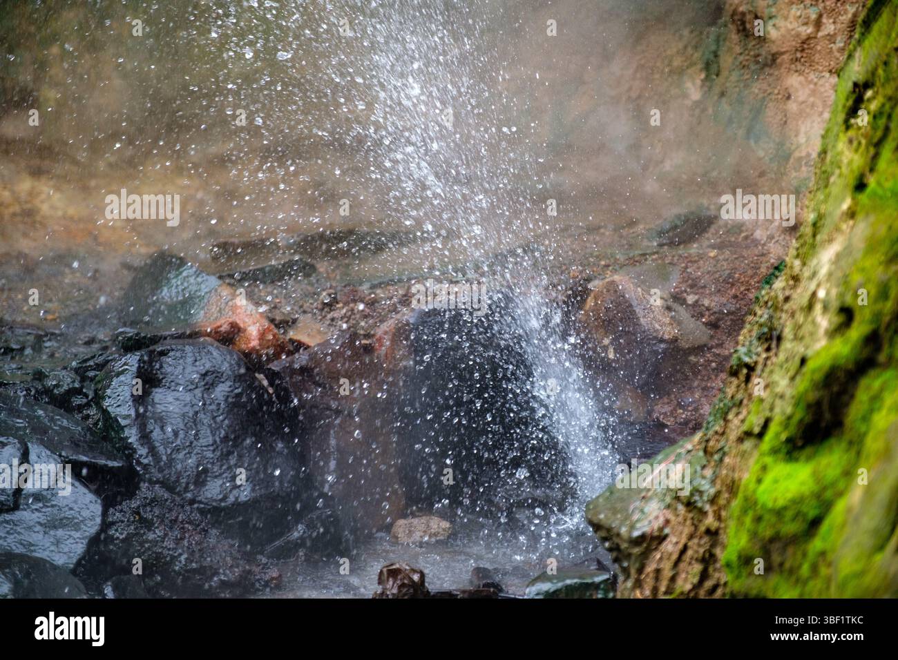 Ein kleiner Wasserfall stürzt über moosige Felsen und schafft eine erfrischende, natürliche Szene. Stockfoto