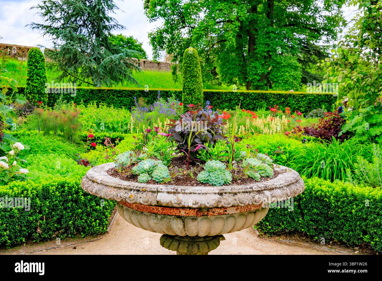Ein farbenfrohes Pflanzgefäß mit Sommersockel in den Mauern des Bishop's Palace Garden in Wells, Somerset, England, Großbritannien Stockfoto