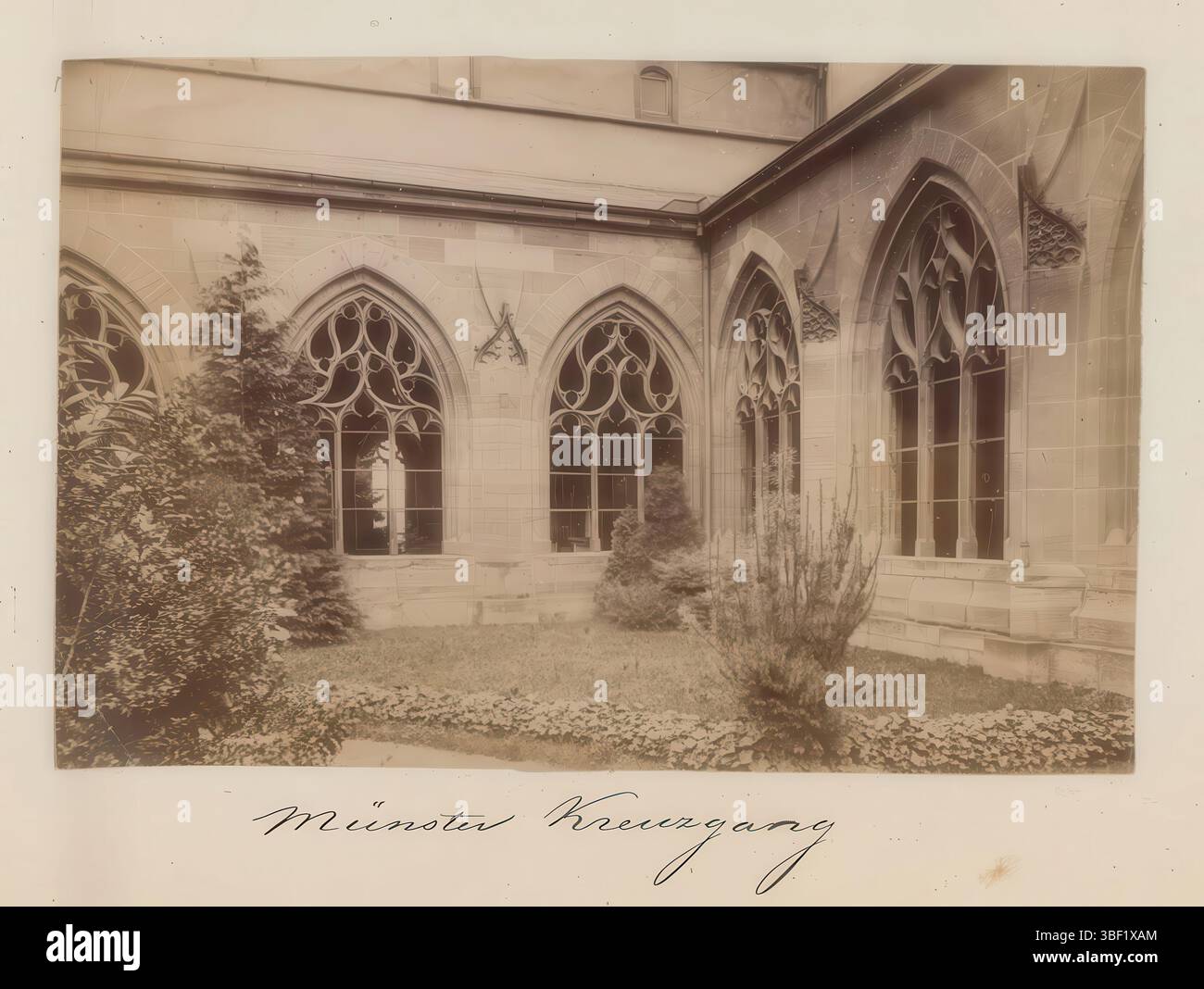 Basel, Kloster des Basler Münsters, dieses Foto ist Teil eines Albums., Foto, Foto, Albumblatt, Fotos, Höhe 335 mm, Breite 460 mm, Fotograf, 1880 - 1900, Fotopapier, Fotopapier, Albumindruck Stockfoto