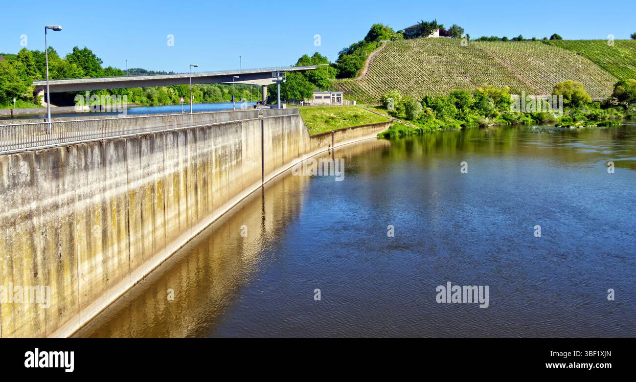 Die Betonmauer erstreckt sich entlang der saar und spiegelt sich in ruhigen Gewässern, mit einer Brücke darüber und sonnendurchfluteten Weinbergen auf der gegenüberliegenden Seite Stockfoto