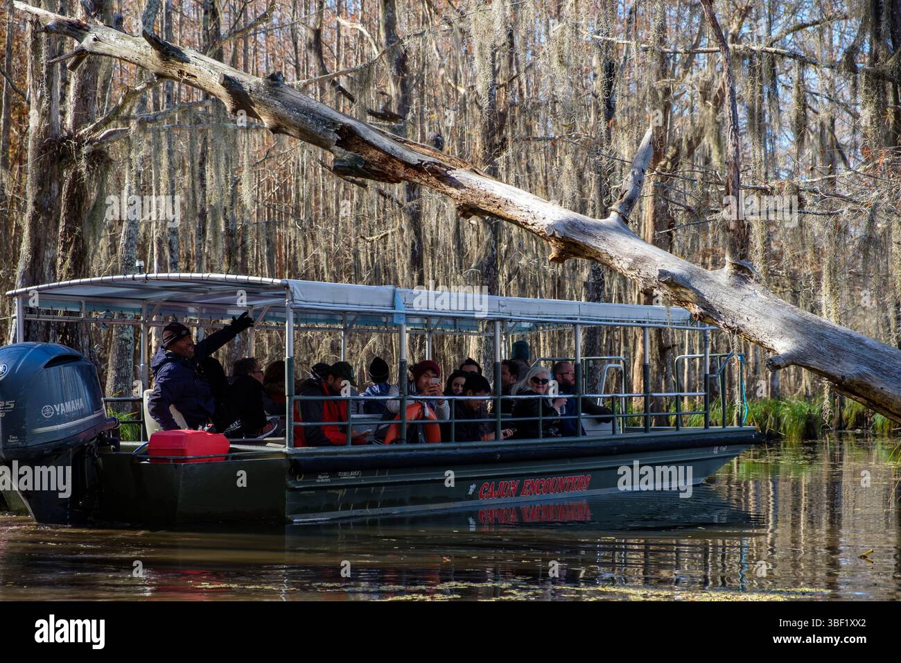 Ein Reiseleiter zeigt den Touristen auf einem „Cajun Encounters“-Sumpfboot die Tierwelt. Stockfoto