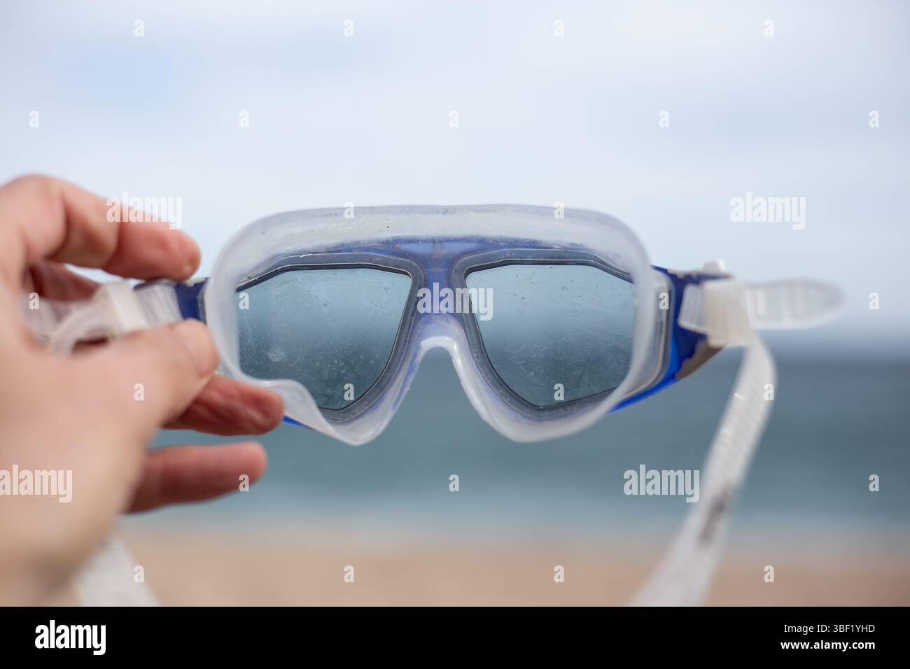 Schnorchelwasserlinsen isoliert auf einem braunen und blauen Beacj-Hintergrund Stockfoto