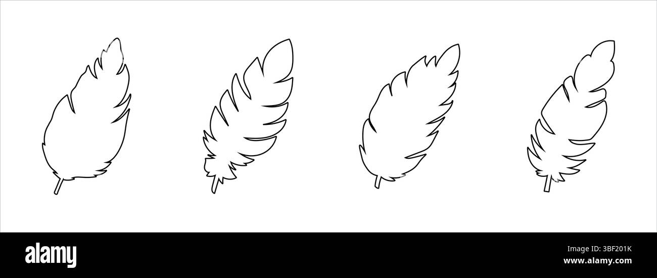 Konturskizze der Federn isoliert auf weißem Hintergrund. Konzept der Naturkunst, minimalistisches Design, elegantes Gefieder, grafische Elemente für Dekor, Ikonen, Stock Vektor