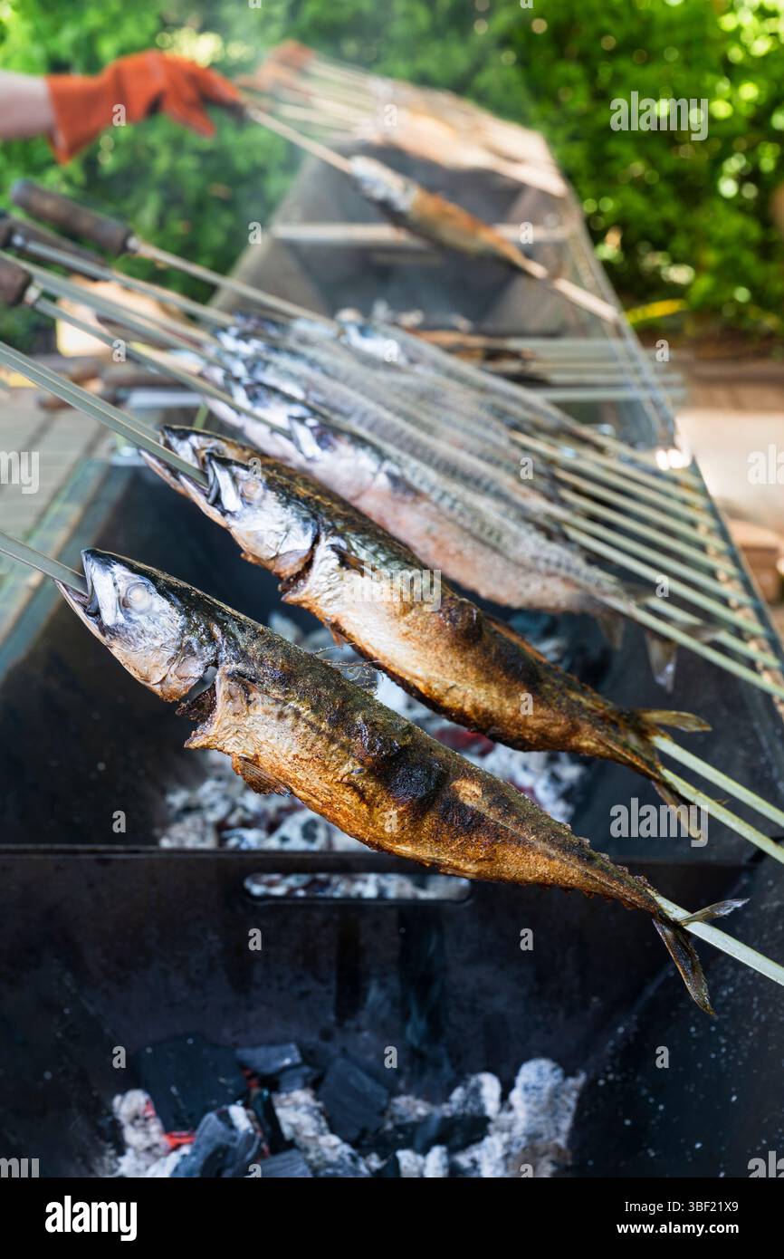 So genannte Steckerlfische - Fisch auf Metallspießen - werden bei einem Festival in Bayern über Holzkohle gegrillt und mit Marinade beschichtet Stockfoto