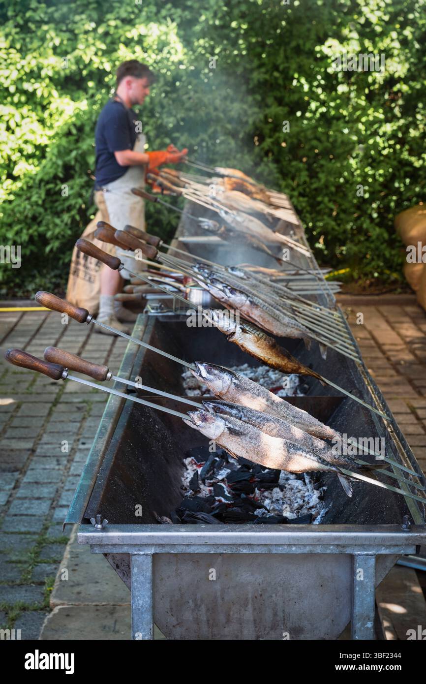 So genannte Steckerlfische - Fisch auf Metallspießen - werden bei einem Festival in Bayern über Holzkohle gegrillt und mit Marinade beschichtet Stockfoto