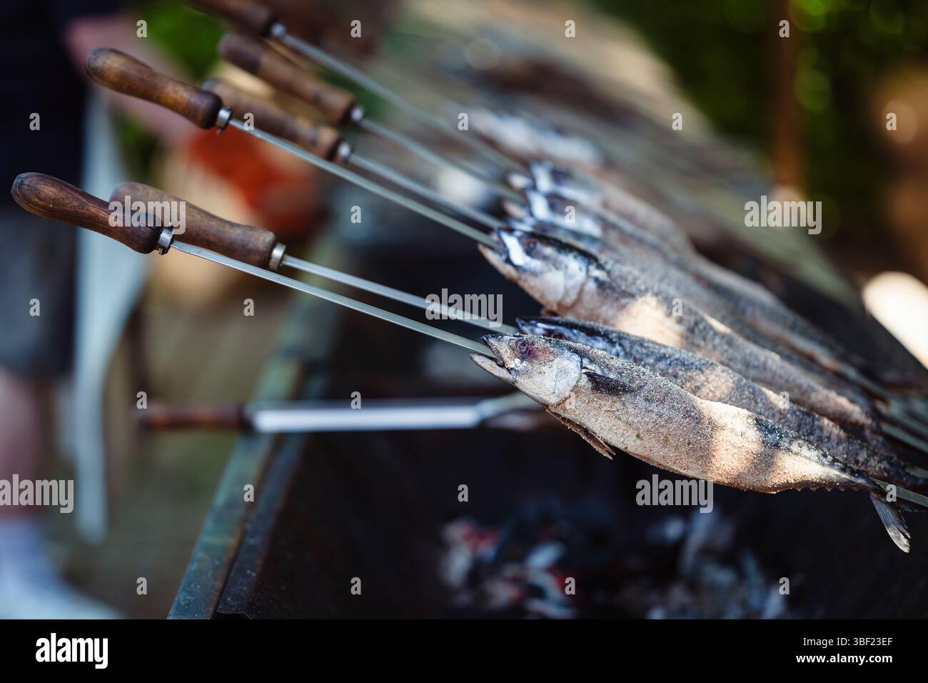 So genannte Steckerlfische - Fisch auf Metallspießen - werden bei einem Festival in Bayern über Holzkohle gegrillt und mit Marinade beschichtet Stockfoto