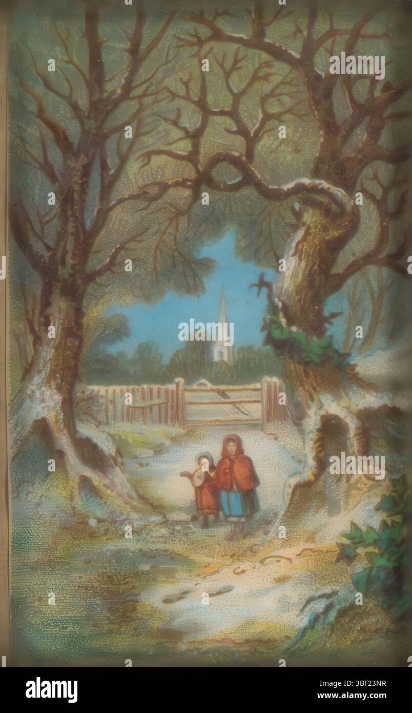 Verschiedene Macher, niederländisches Familienalbum mit 22 Fotos, Innenseite vorne - eingefügt, Fotoalbum mit 22 Seiten und insgesamt 22 Fotos, alle Cartes-de-Visite. Das Album enthält Porträts von Personen in nordniederländischen Kostümen., Fotoalbum, Insert-Album, Fotos, Dienst/ Verpreide/ Rijkskollekties, Höhe 149 mm, Breite 120 mm, Dicke 29 mm, Breite 255 mm, Compiler, 1850 - 1903, Fotopapier, Fotopapier, Karton, Leder, Glas, Metall, Albumdruck, Albumindruck, Farblithographie (Prozess), Kohlenstoffdruck, Kohlenstoffdruck, Farbe auf Schnitt, Fotograf, Kohledruck auf dem Schnitt Stockfoto