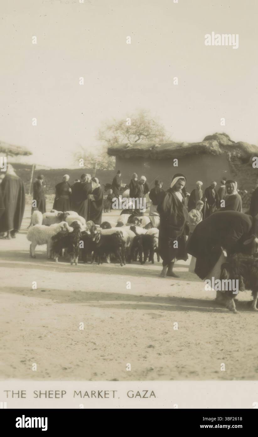 Birmingham, Coronet Camera Co., London, Camerascopes Ltd., Gazastreifen, 6 Picturescope Views of, the Sheep Market, Gaza, Sheep Market in Gaza, Birmingham, Recto-gedruckt, Serie über die Ausgrabungen der britischen Archäologen Gerald Harding und Flinders Petrie in Tell Jammé im damaligen British Fellowship Area Palestine., Stereogramm, Stereophoto, Fotos, 1728, Eastman Kodak 30, Höhe 82 mm, Breite 113 mm, Fotograf, 1926 - 1927, Fotopapier, Fotopapier, Elatin-Silber-Druck, Entwicklung Gelatine-Silber-Druck, Publikation, Verlag, Verlag (Event), Verlag Stockfoto