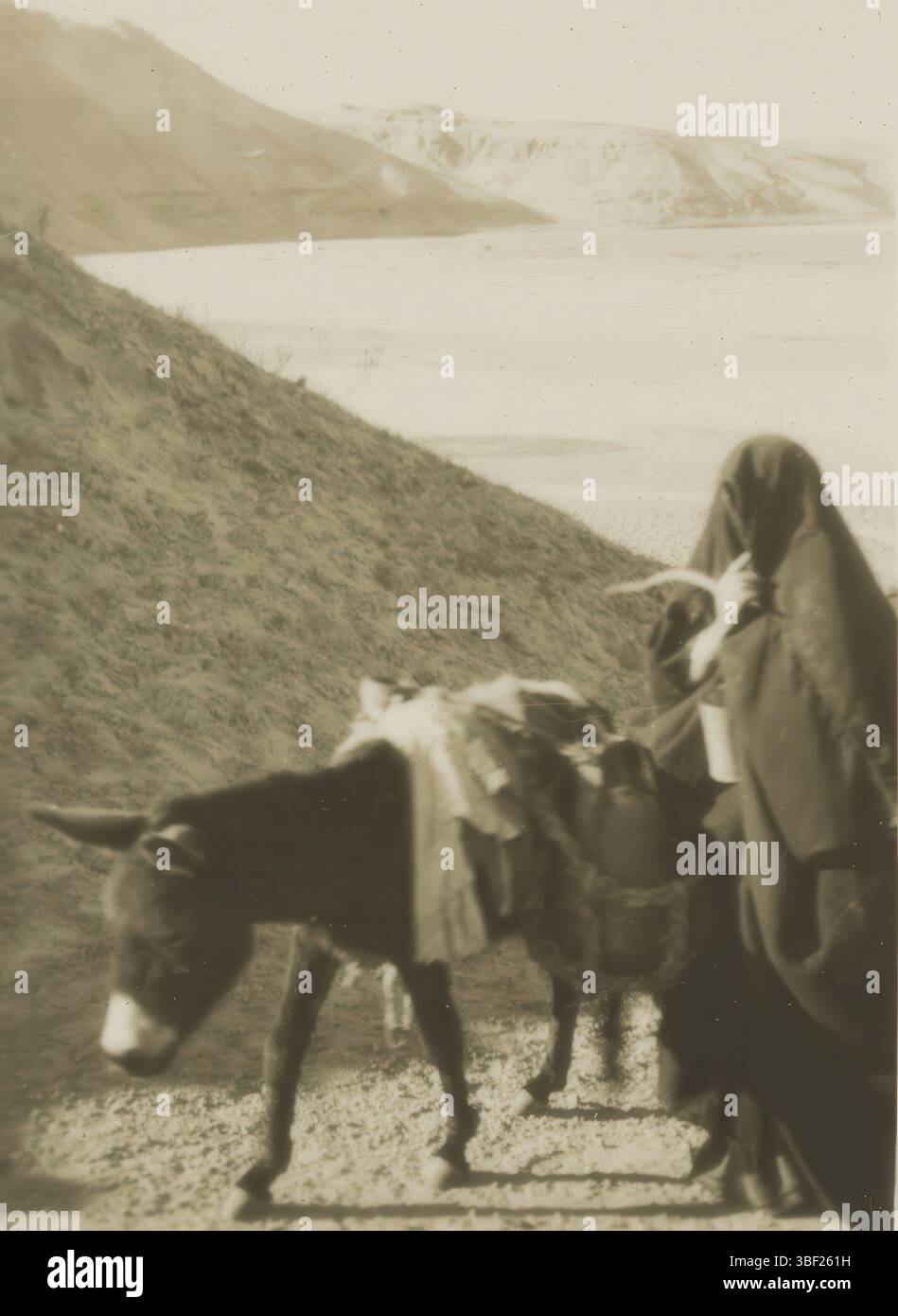 Birmingham, Coronet Camera Co., London, Camerascopes Ltd., Palästina, 6 „Picturescope“-Ansichten von Ausgrabungen in Palästina, im Anblick des Tells, Person mit Esel, mit im Hintergrund Tell Jammé, Birmingham, Recto - gedruckt, Serie zu den Ausgrabungen der britischen Archäologen Gerald Harding und Flinders Petrie in Tell Jammé im damaligen British Fellowship Area Palestine., Stereogramm, Stereophoto, Fotos, 1727, Höhe 82 mm, Breite 113 mm, Fotograf, 1926 - 1927, Fotopapier, Gelatinedruck, Entwicklungsalgelatinedruck, Publikation, Verlag, Verlag (Event), ve Stockfoto