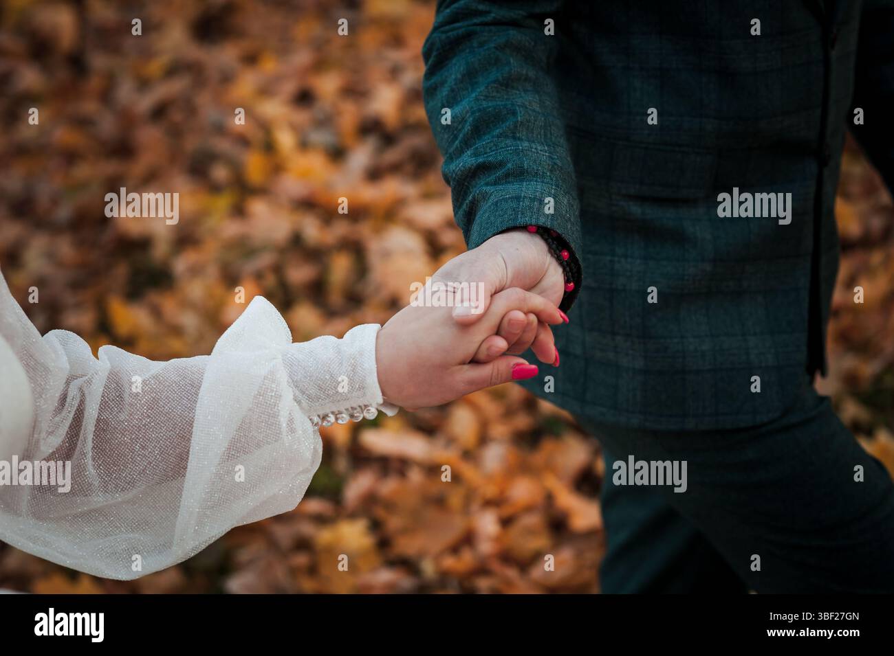 Eine Nahaufnahme zeigt ein Paar, das Hand in Hand durch einen dichten Herbstwald geht, der mit lebhaften, gefallenen Blättern bedeckt ist, und zeigt eine romantische Verbindung Stockfoto