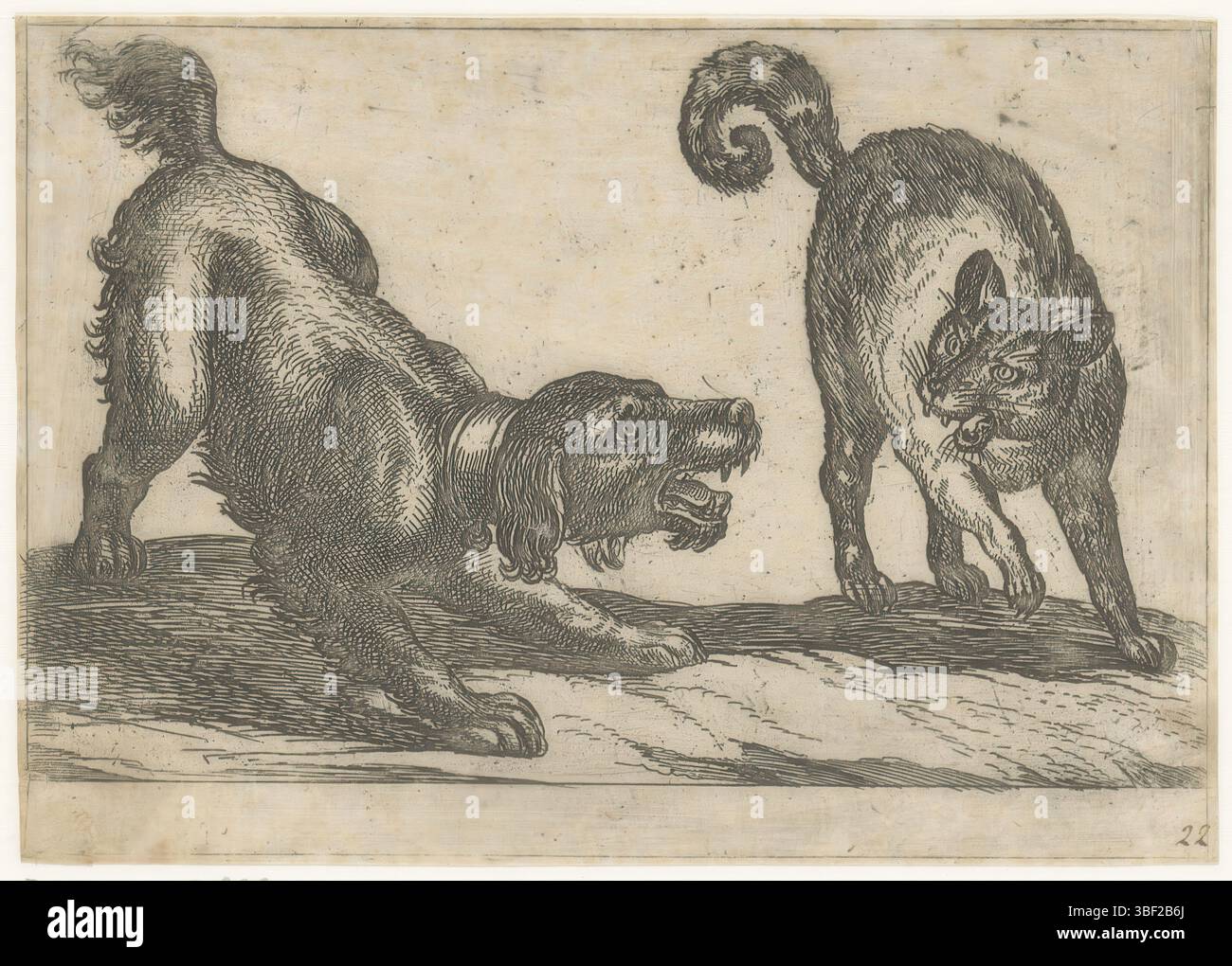 Italien, Tempesta, Antonio, Kampftiere, Ein Hund kämpft mit einer Katze, Italien, hinten rechts unten - handgeschrieben in brauner Tinte, Druck, rückwärts - gestempelt, 22, Höhe 94 mm, Breite 131 mm, Italienisch, 1555 - 1630-08-05, Druckmaschine, 1600 - 1600, Papier, Ätzen, Tellerton Stockfoto