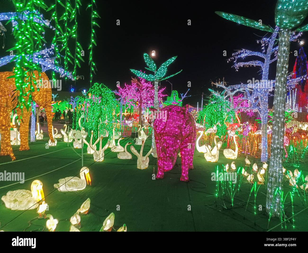 Toronto, ON, Kanada – 18. Oktober 2024: Die massiven Illumi-Lichtstatuen und -Installationen werden auf dem Lichtfestival in Toronto vorgestellt. Stockfoto Toronto, ON, Kanada – 18. Oktober 2024: Die massiven Illumi-Lichtstatuen und -Installationen werden auf dem Lichtfestival in Toronto vorgestellt. Stockfoto