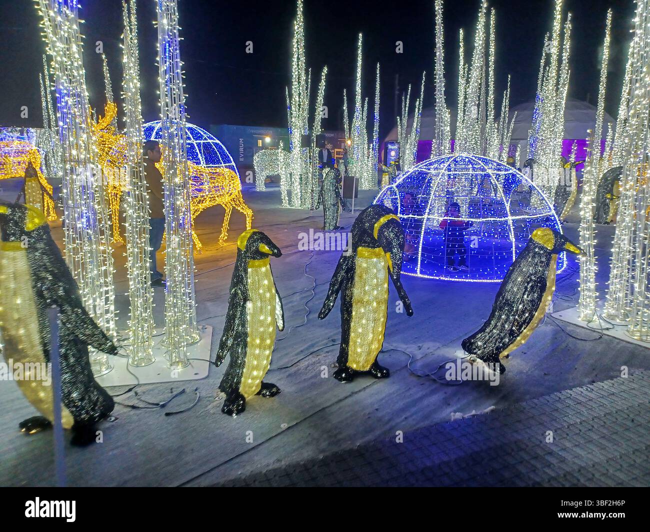 Toronto, ON, Kanada – 18. Oktober 2024: Die massiven Illumi-Lichtstatuen und -Installationen werden auf dem Lichtfestival in Toronto vorgestellt. Stockfoto Toronto, ON, Kanada – 18. Oktober 2024: Die massiven Illumi-Lichtstatuen und -Installationen werden auf dem Lichtfestival in Toronto vorgestellt. Stockfoto