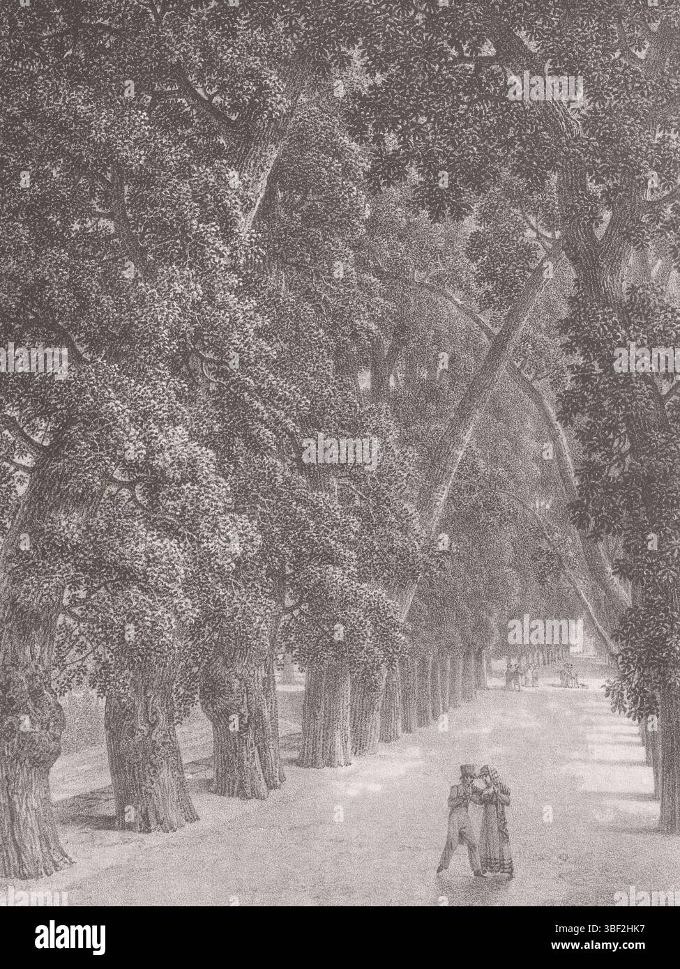 Paris, Engelmann, Gottfried, Sèvres, Bacler d'Albe, Louis Albert, Promenades pictques et lithographiques dans Paris et ses Environs, malerische Gesichter auf Paris und Umgebung, L'Allée du bord de l'eau, Mann und Frau auf der Baumallee entlang der seine, Paris, Druck, Höhe, 427 mm, Breite mm, 1761 - 1848, Printmaker, 1822 - 1824, Papier, Lithographie (technisch), Französisch, 1788 - 1839-04-25, Drucker Stockfoto