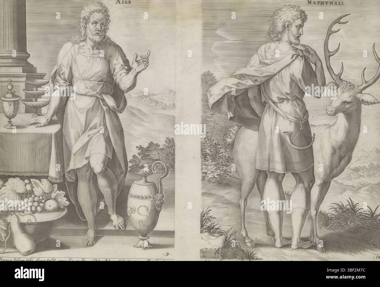 Alkmaar, Schabaelje, Jan Philipsz, Amsterdam, Visscher, Claes Jansz. II) Broeck, Crispijn van den, Sadeler, Johann (I), den Grooten Figuer-Bibel, die zwölf Gründungsväter Israels, Van de twaelf Patriarchen, Stamvaders Aser und Nafali, unten rechts – handgeschrieben in brauner Tinte, linker Familienvater Aser, der achte Sohn Jakobs. Auf dem Boden neben ihm eine Schüssel Obst und ein Glas. Naphali, der sechste Sohn Jakobs, des Vaters der Rechten. Ein Hirsch neben ihm. Unter den Aufführungen findet sich ein lateinischer Hinweis auf den Bibeltext. Dieser Ausdruck ist Teil eines Albums., drucken, Albumsheet, Ausdrucke, 72, Höhe 219 Stockfoto
