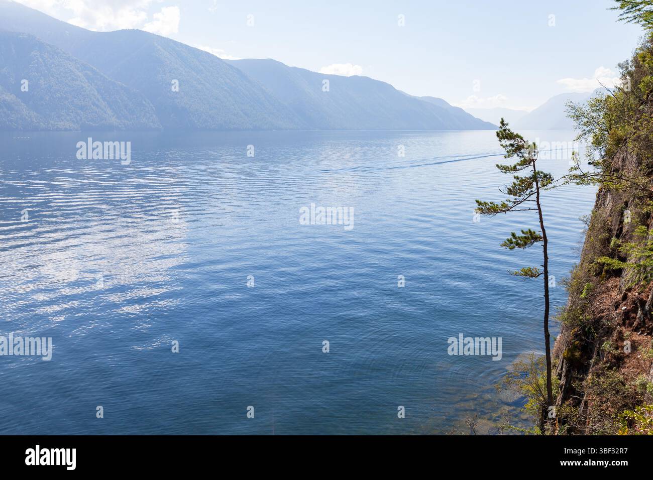 Sibirisches Landschaftsfoto mit den Küsten des Teletskoje-Sees an einem sonnigen Sommertag, Altai Republik, Russland Stockfoto