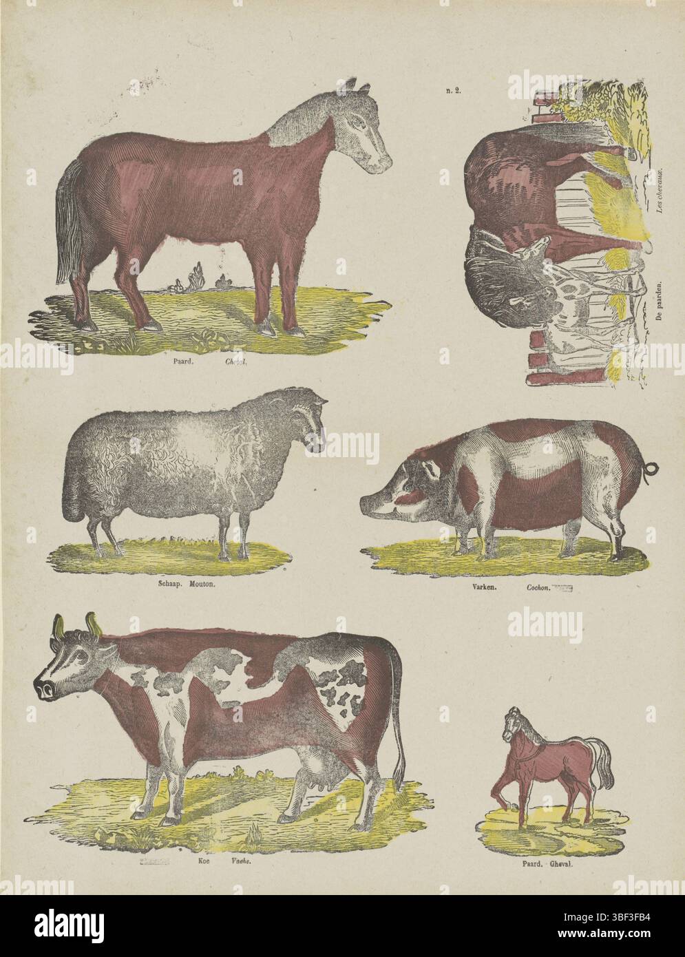 Europa, Turnhout, Beersmaens, Franciscus Antonius, Dieren, Europa, verso - gestempelt, Blatt mit 6 Darbietungen von Nutztieren wie Pferden, einem Schaf, einem Schwein und einer Kuh. Unter jeder Aufführung eine Bildunterschrift in Niederländisch und Französisch. Nummeriert oben: n. 2., Druck, Folk-Abzüge, Drucke, Höhe 427 mm, Breite 330 mm, Publikation (Ereignis), Publikation, 1840-06-14 - 1897-01-25, Verlag, 1866 - 1902, Papier, Holzschnitt, Farben, Buchdruck, Buchdruck, Druckerei, Druckerei Stockfoto