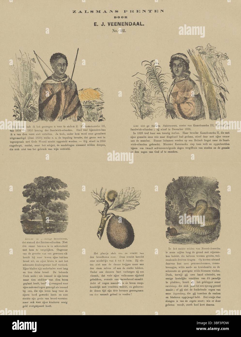 Dampier, Robert, Europa, Niederlande, Veenendaal, E.J., Kampen, Zalsman, Gerhardus Philippus, Zalmans Abdrücke, König Kamehameha III. und seine Schwester Nahiennaena, ein Baum, eine Frucht und eine Schlange, Europa, verso - gestempelt, verlassen mit 5 Bildern von Kamehameha III. und seiner Schwester Nahiennaena, einer Frucht und einer Schlange. Unter jedem Bild eine Beschriftung. Nummeriert Mitte oben: Nr. 62., Druck, Folk Prints, Drucke, Höhe 425 mm, Breite 341 mm, Publikation (Ereignis), Publikation, Niederländisch, 1834 - 1910, Verlag, 1869 - 1882, Papier, Holzstich, Farben, Buchdruck, Bookprint, - 1930, Editor, Printmaker, Englisch, 1799 Stockfoto