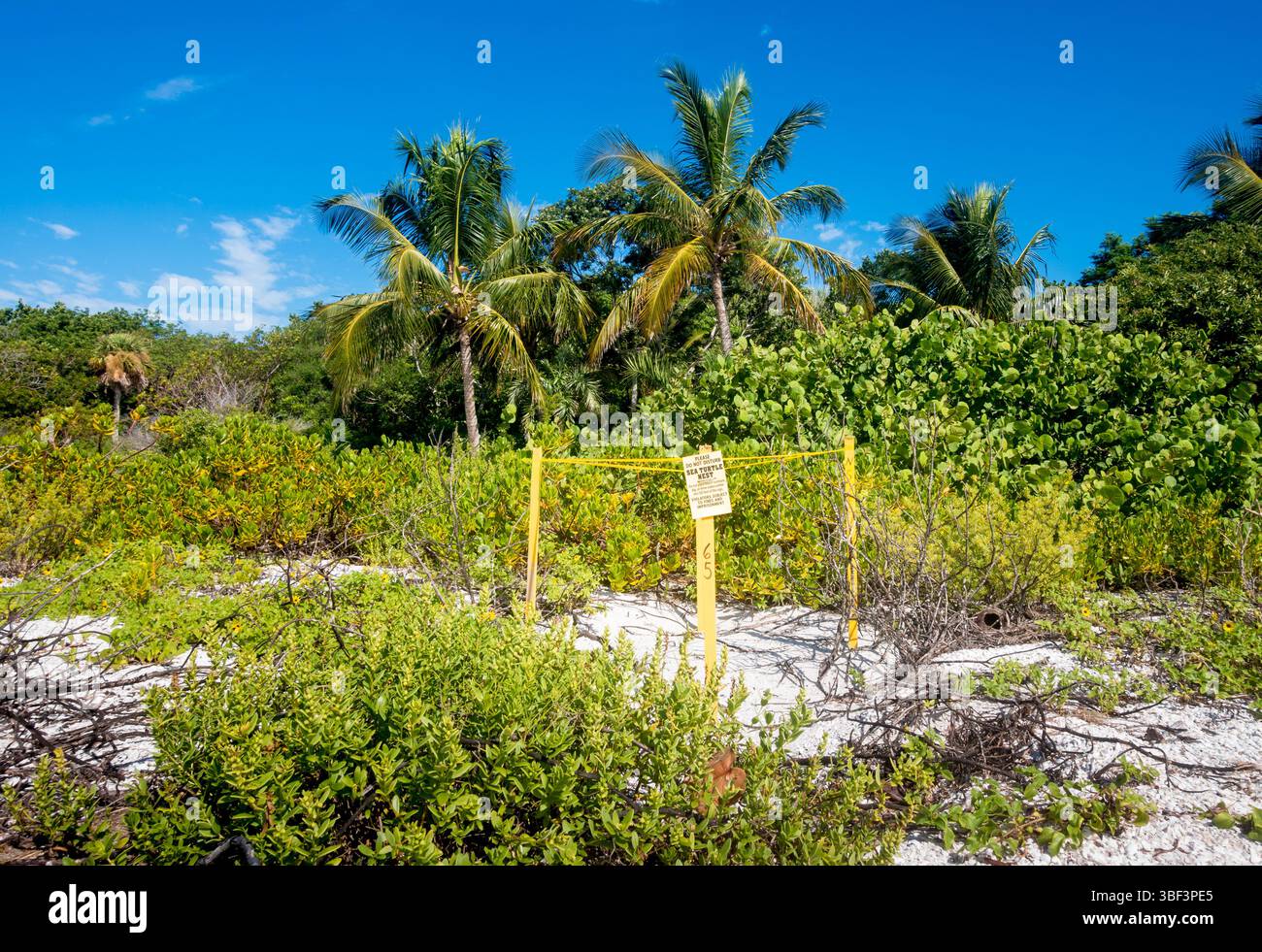 Ein Marker, der die Position eines Nistplatzes für Meeresschildkröten am Strand in Sanibel, Florida, angibt Stockfoto