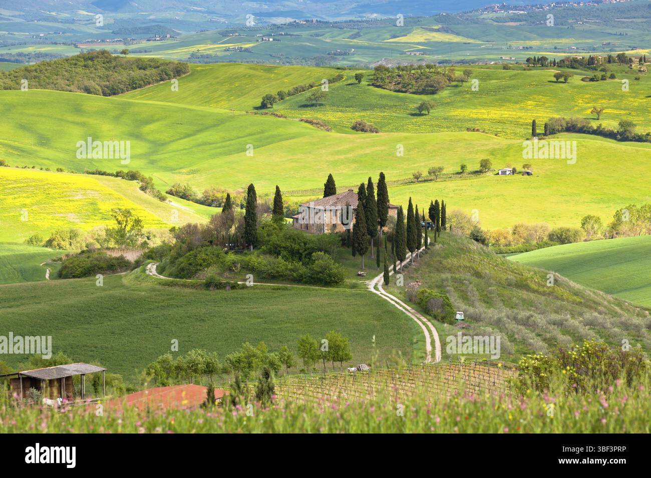 Outdoor-toskanische Bauernhaus und Hügel-Landschaft. Horizontalen Schuss Stockfoto