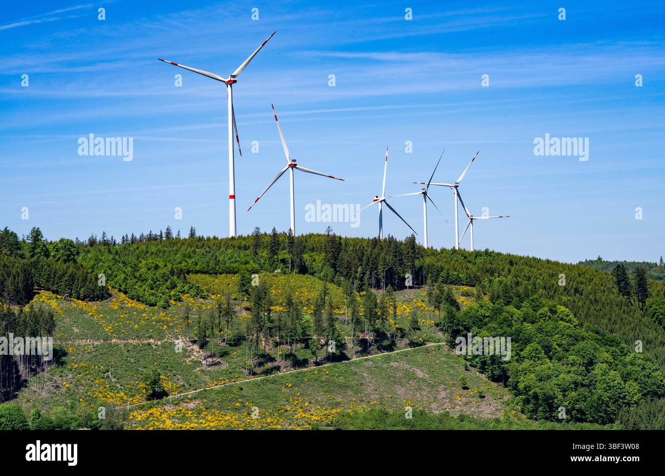 Windpark Olsberg-Mannstein, oberhalb von Brunskappel, einem Stadtteil von Olsberg im Sauerland, 7 von Vestas hergestellte Windräder, die über produzieren Stockfoto