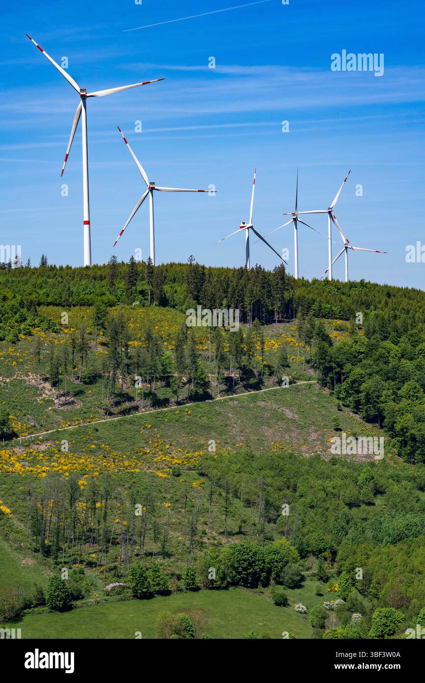 Windpark Olsberg-Mannstein, oberhalb von Brunskappel, einem Stadtteil von Olsberg im Sauerland, 7 von Vestas hergestellte Windräder, die über produzieren Stockfoto