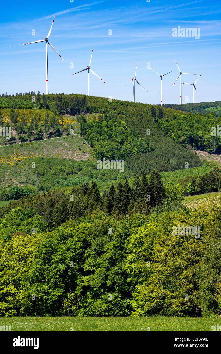 Windpark Olsberg-Mannstein, oberhalb von Brunskappel, einem Stadtteil von Olsberg im Sauerland, 7 von Vestas hergestellte Windräder, die über produzieren Stockfoto