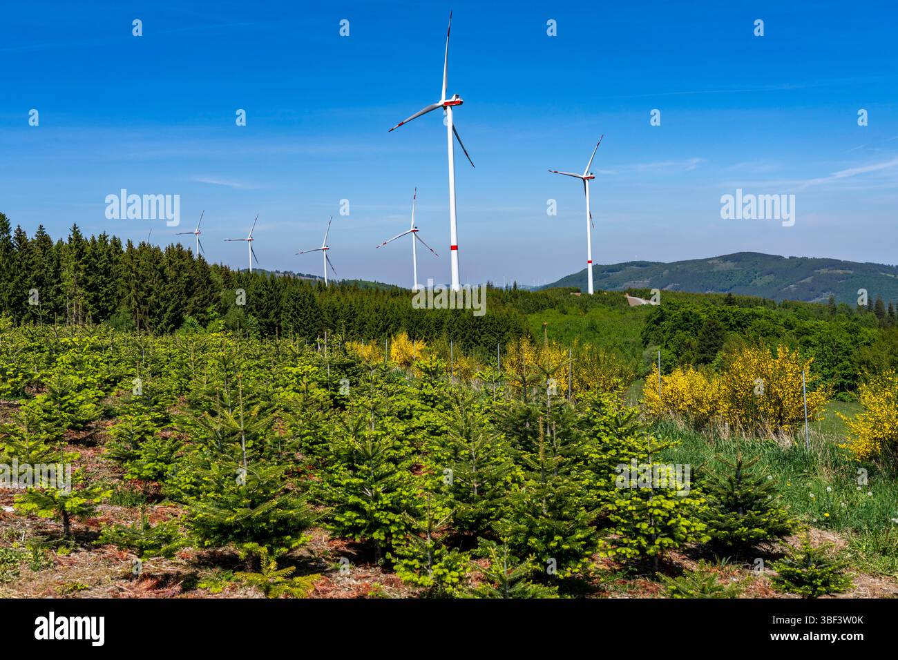 Windpark Olsberg-Mannstein, oberhalb von Brunskappel, einem Stadtteil von Olsberg im Sauerland, 7 von Vestas hergestellte Windräder, die über produzieren Stockfoto