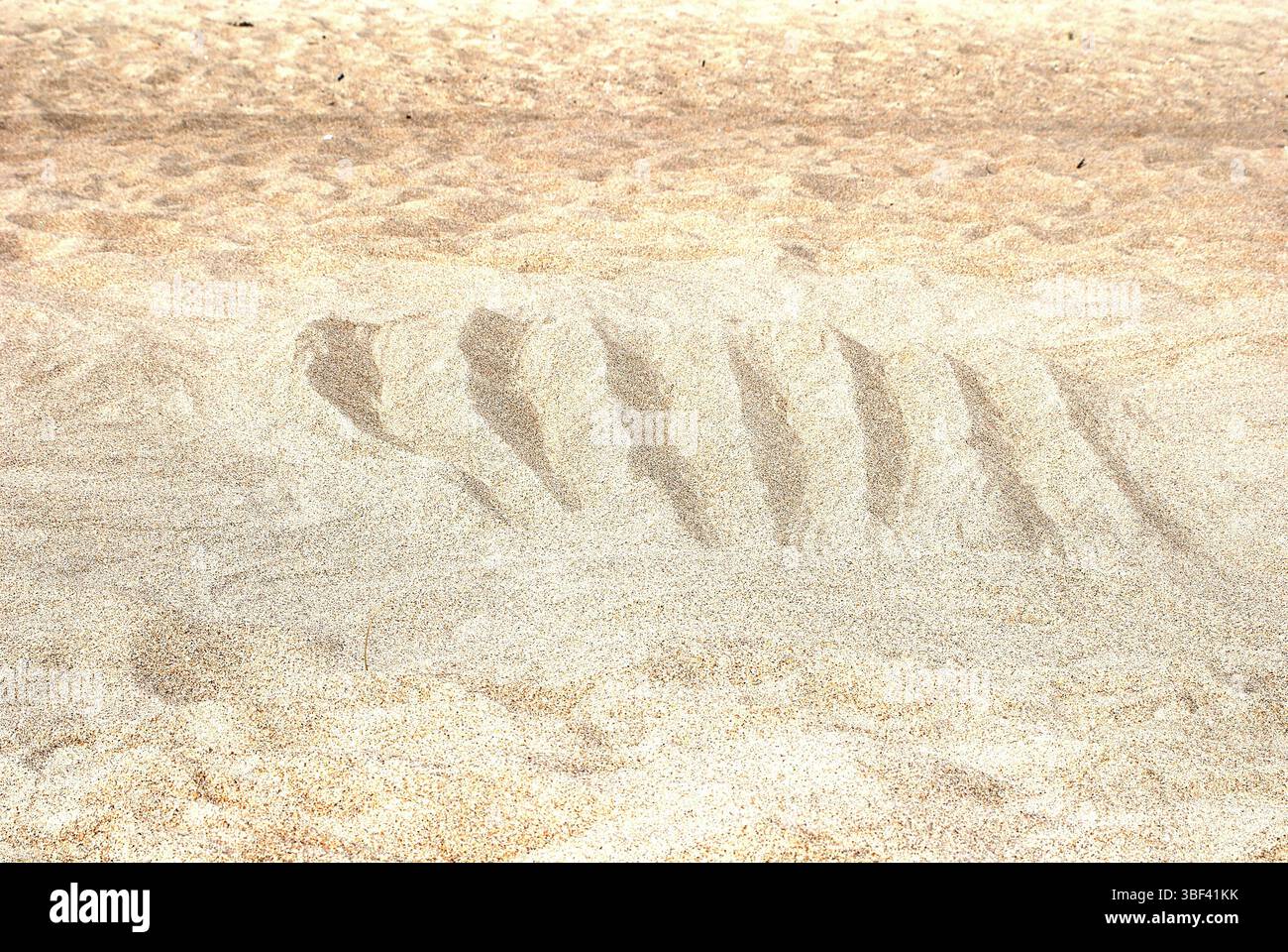 Mysteriöse Grooves in Sand – abstrakte Struktur unbekannter Herkunft Stockfoto