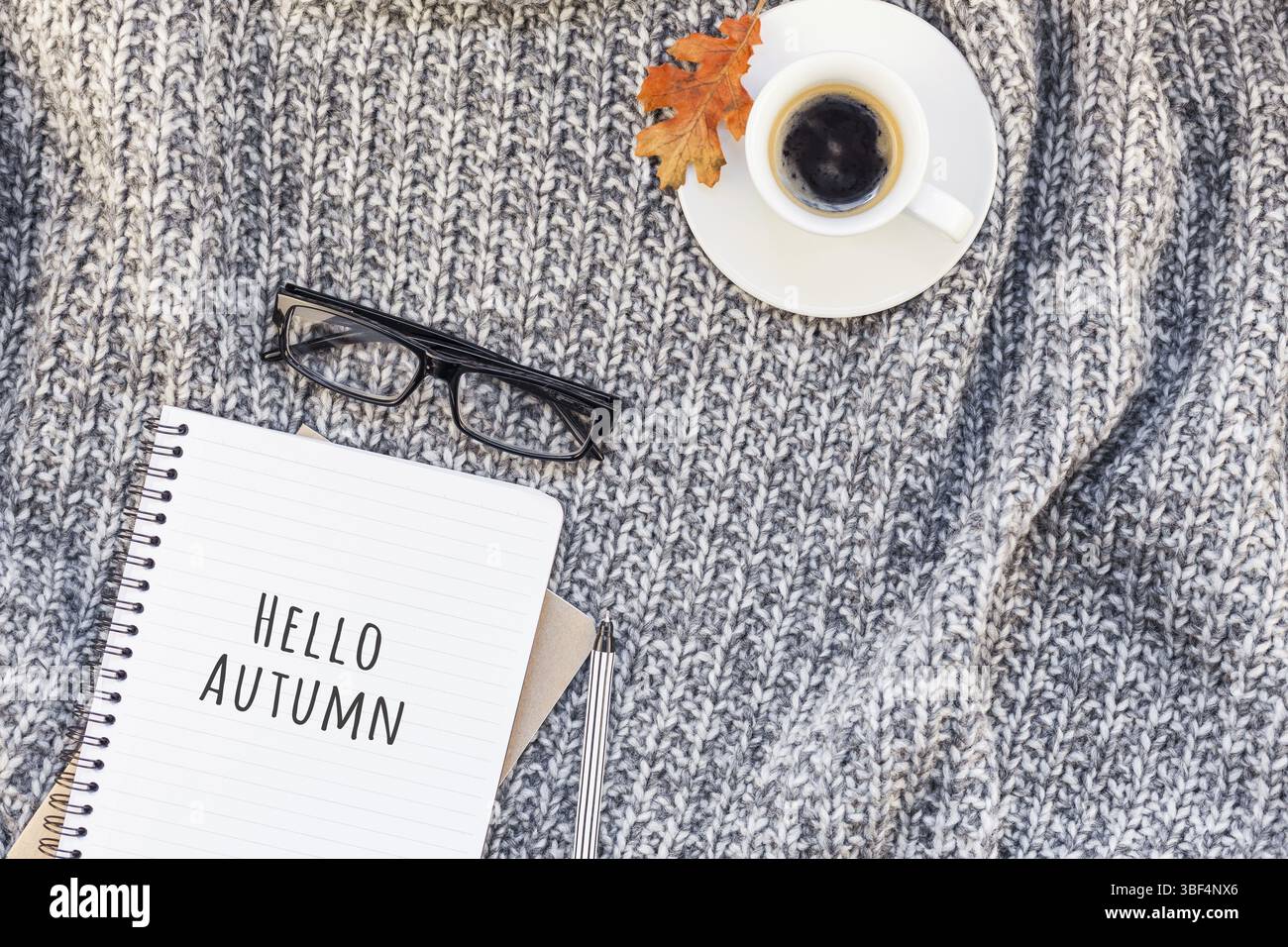 Kreative Herbst flach overhead Draufsicht stilvolle Home Arbeitsbereich mit Notebook Kaffee Tasse gemütlichen grau gestrickt plaid Background Copy space. Herbst Stockfoto