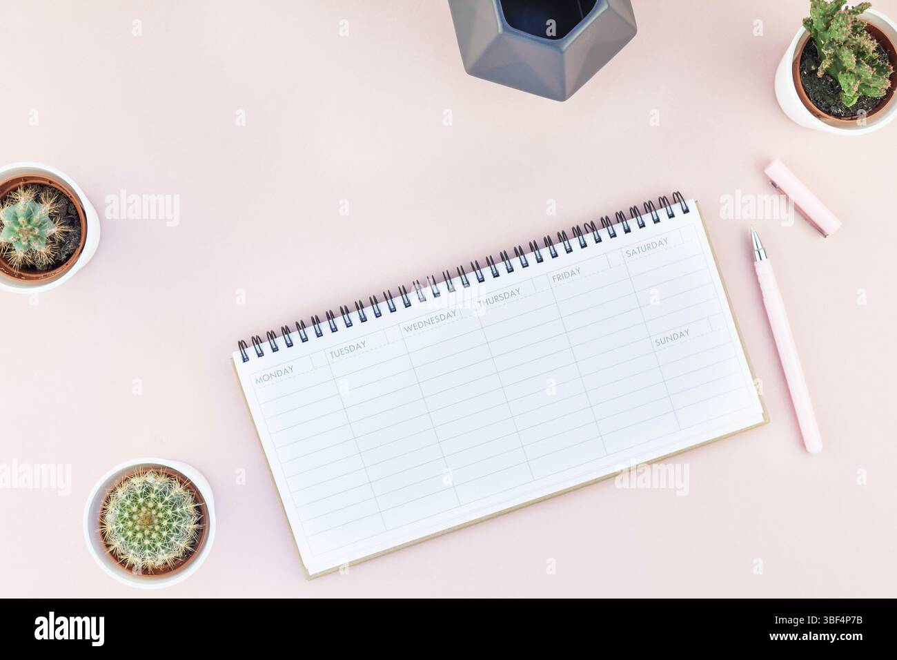 Ansicht von oben flach von Arbeitsbereich Schreibtisch gestalteten Design Büromaterial und Kakteen Sukkulenten mit Kopie Raum tausendjährigen rosa Farbe Papier Hintergrund minderen Stockfoto