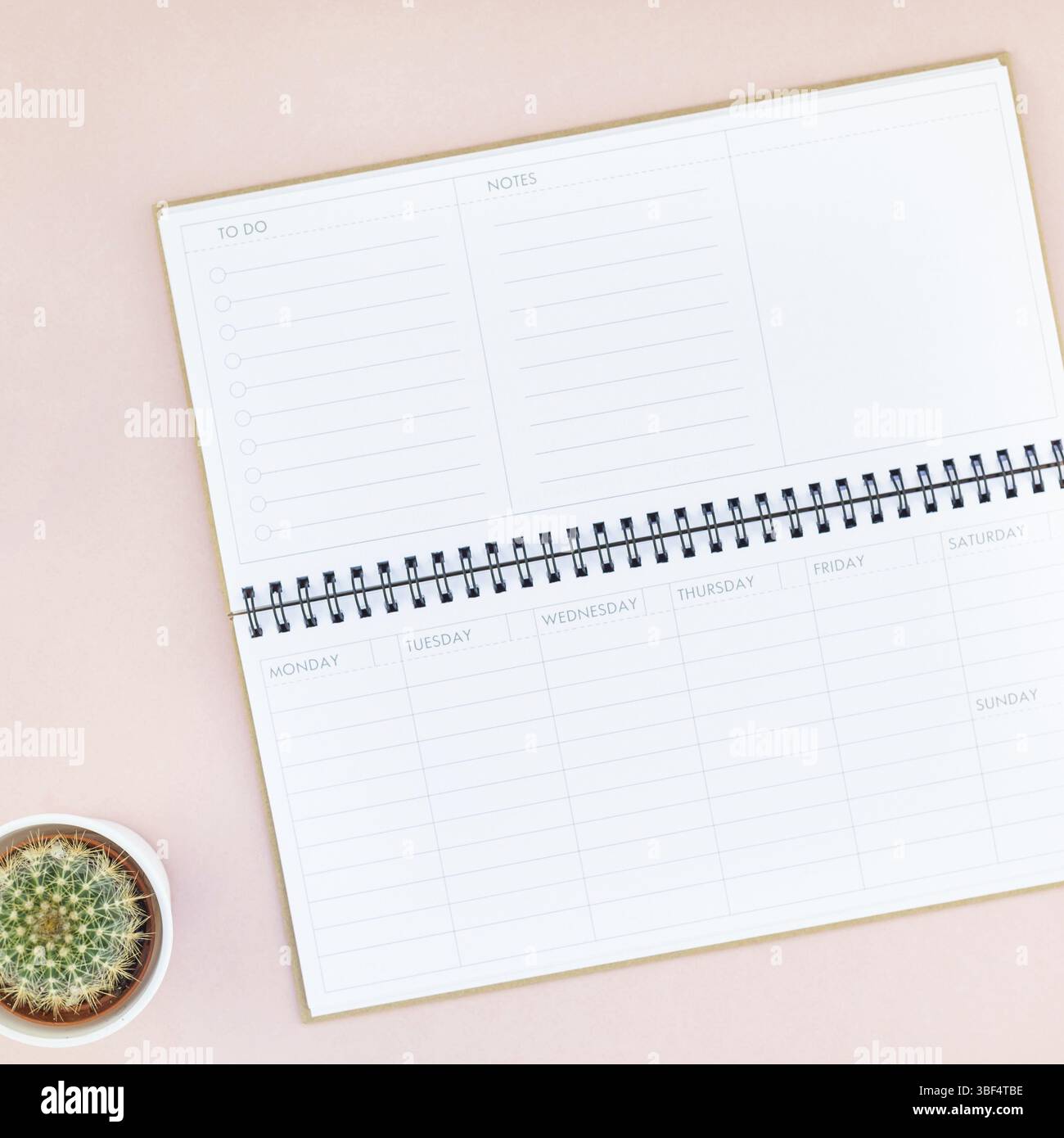 Ansicht von oben flach Arbeitsplatz mit Schreibtisch gestalteten Design Bürobedarf Kakteen Sukkulenten mit Kopie Raum tausendjährigen rosa Farbe Papier Hintergrund minimal Styl Stockfoto