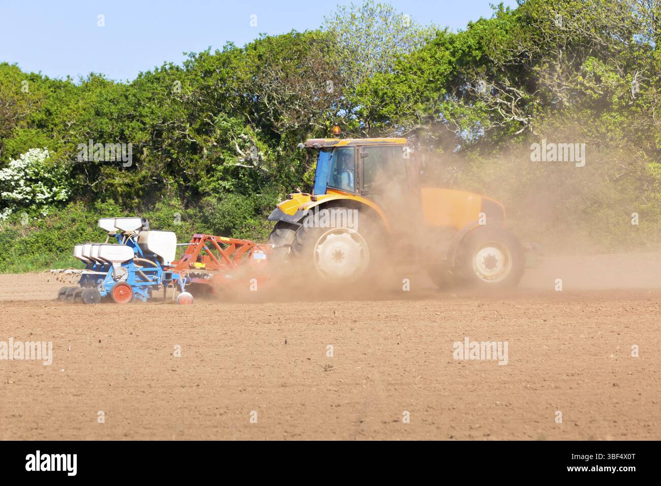 Landwirtschaft - Traktor mit Plowes auf das Frühjahr Feld in Staubwolke Stockfoto