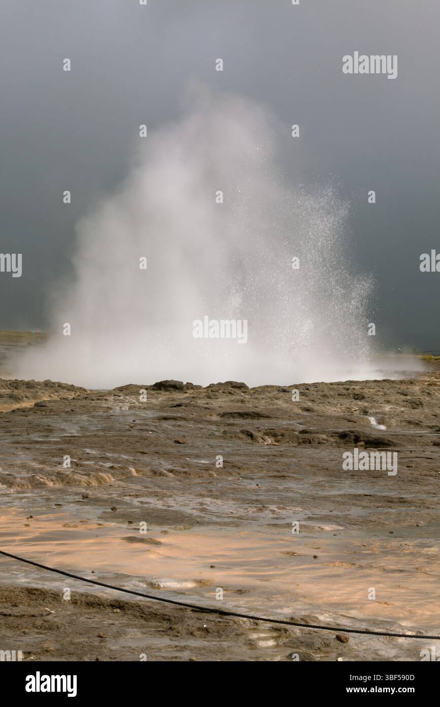 Island: Strokkur Geysir Ausbruch bei bedecktem Wetter Stockfoto