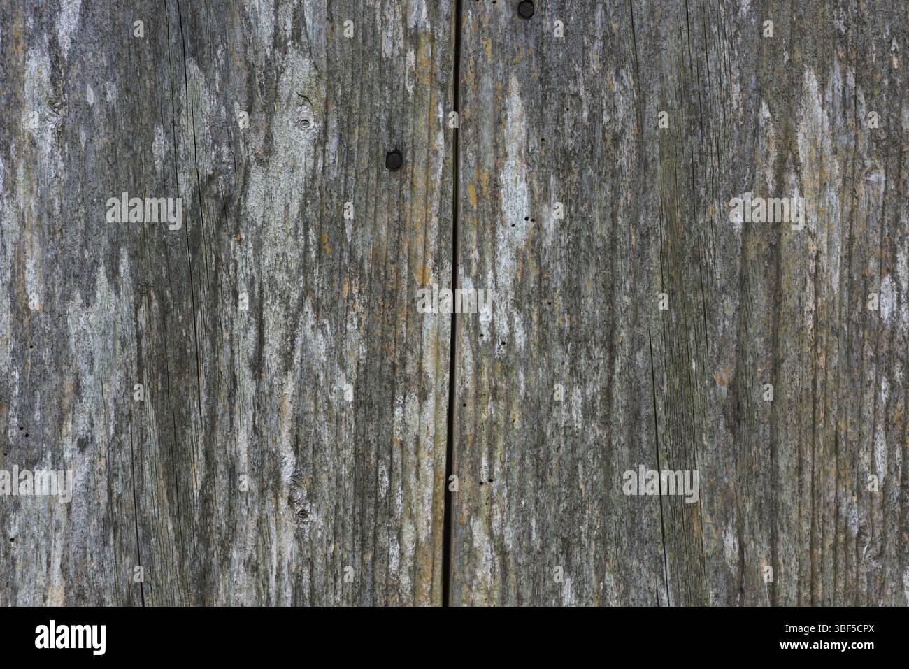 Alte hölzerne Planke Oberfläche Hintergrund. Horizontalen Schuss Stockfoto