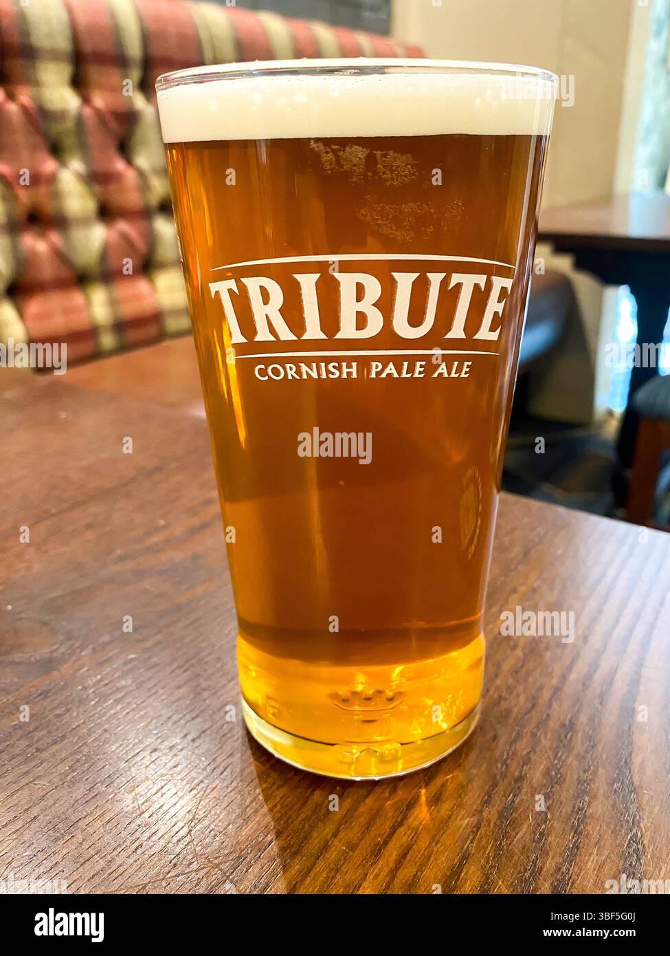 Ein Pint Tribute Pale Ale Beer auf einer Holzplatte in einem Pub Stockfoto