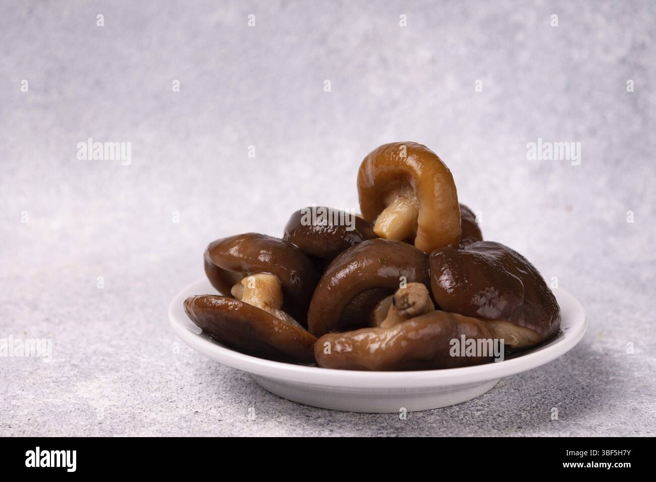 Eingelegte Milchpilze liegen auf einer weißen Platte, auf weißem Hintergrund, Platz für Kopien Stockfoto