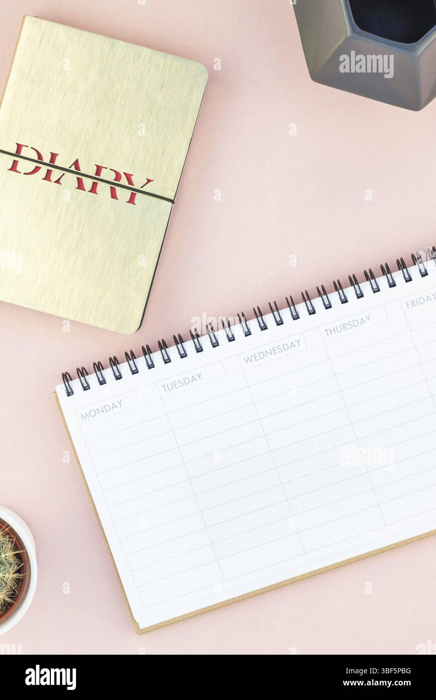 Ansicht von oben flach von Arbeitsbereich Schreibtisch gestalteten Design Büromaterial und Kakteen Sukkulenten mit Kopie Raum tausendjährigen rosa Farbe Papier Hintergrund minderen Stockfoto