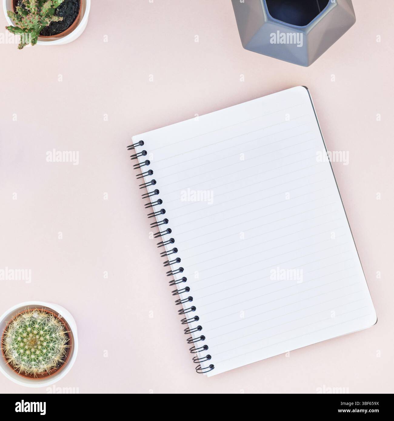 Ansicht von oben flach Arbeitsplatz mit Schreibtisch gestalteten Design Bürobedarf Kakteen Sukkulenten mit Kopie Raum tausendjährigen rosa Farbe Papier Hintergrund minimal Styl Stockfoto