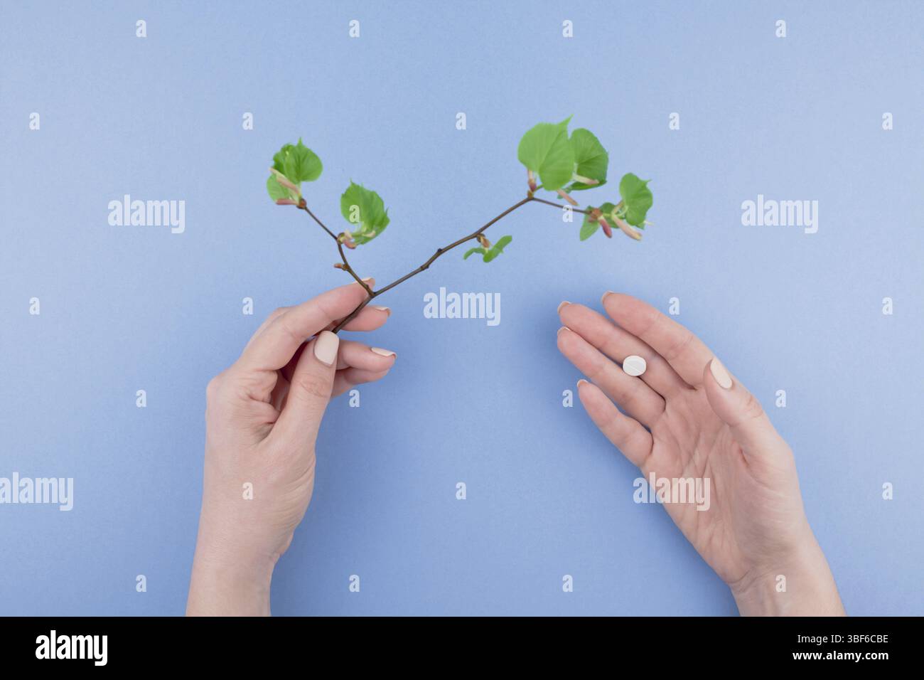 Kreative flach Konzept der saisonale Frühling Pollenallergie mit einer Pille in einem weiblichen Händen und frische grüne Sprossen mit Knospen mit Kopie Raum Hintergrund Stockfoto