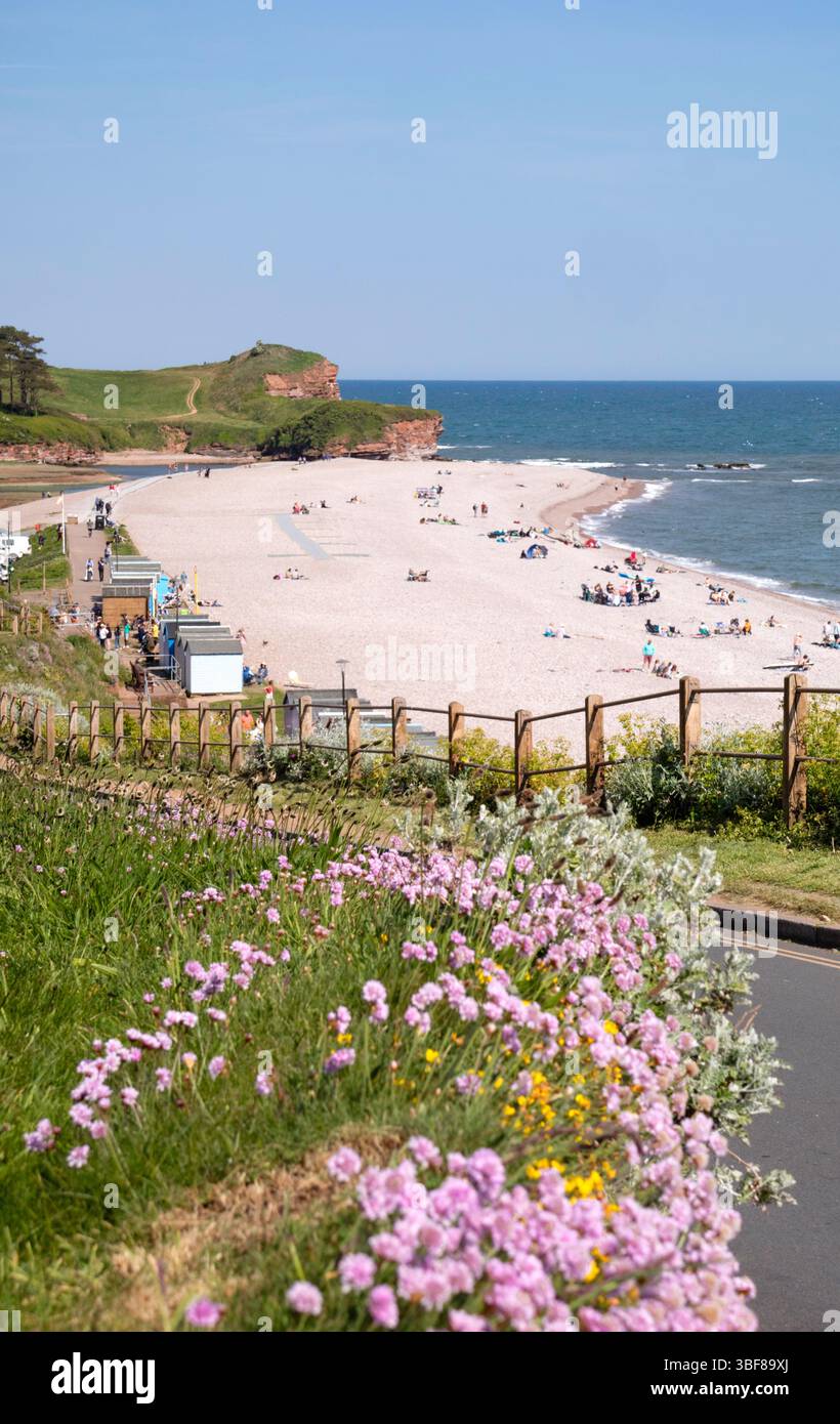 Die Küstenstadt Budleigh Salterton, Devon, England, Großbritannien Stockfoto