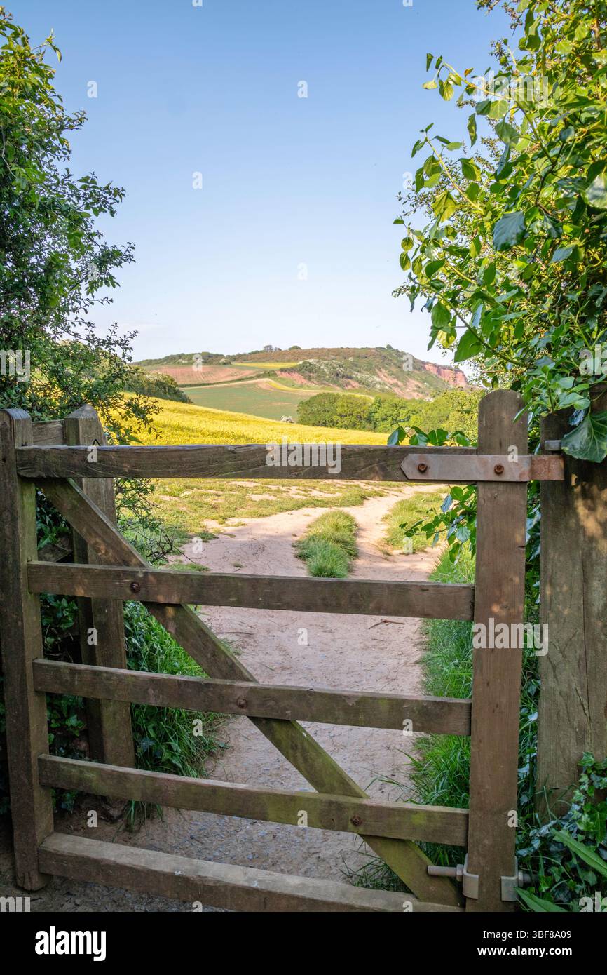 Der South West Coast Path führt in Richtung Budleigh Salterton, Devon, England, Großbritannien Stockfoto