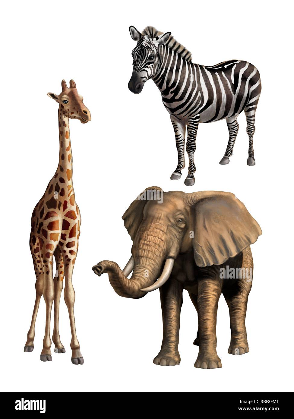 Giraffe, Elefant und Zebra. Afrikanische Tierwelt, originale digitale Illustration. Beschneidungspfad enthalten. Stockfoto
