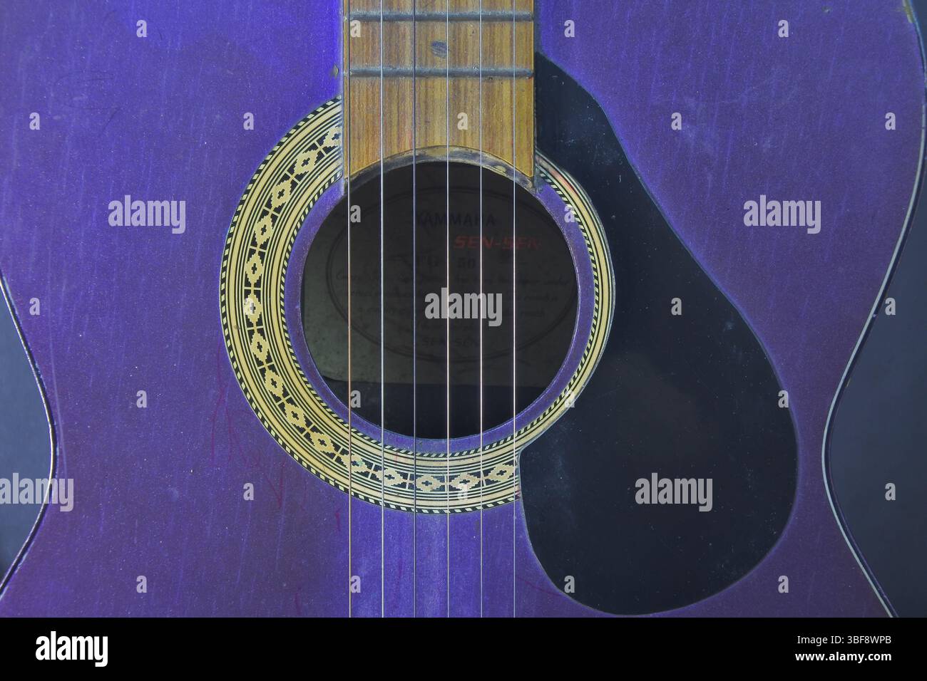 Eine violette Akustikgitarre, die lange Zeit nicht benutzt wurde, sieht staubig aus und steht in einem weißen Hintergrund. Stockfoto